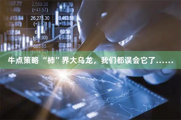 牛点策略 “柿”界大乌龙，我们都误会它了……