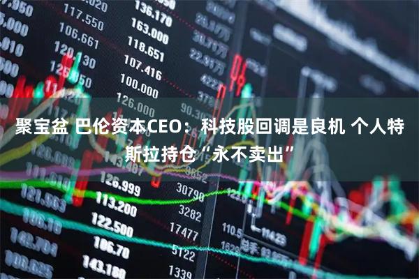 聚宝盆 巴伦资本CEO：科技股回调是良机 个人特斯拉持仓“永不卖出”